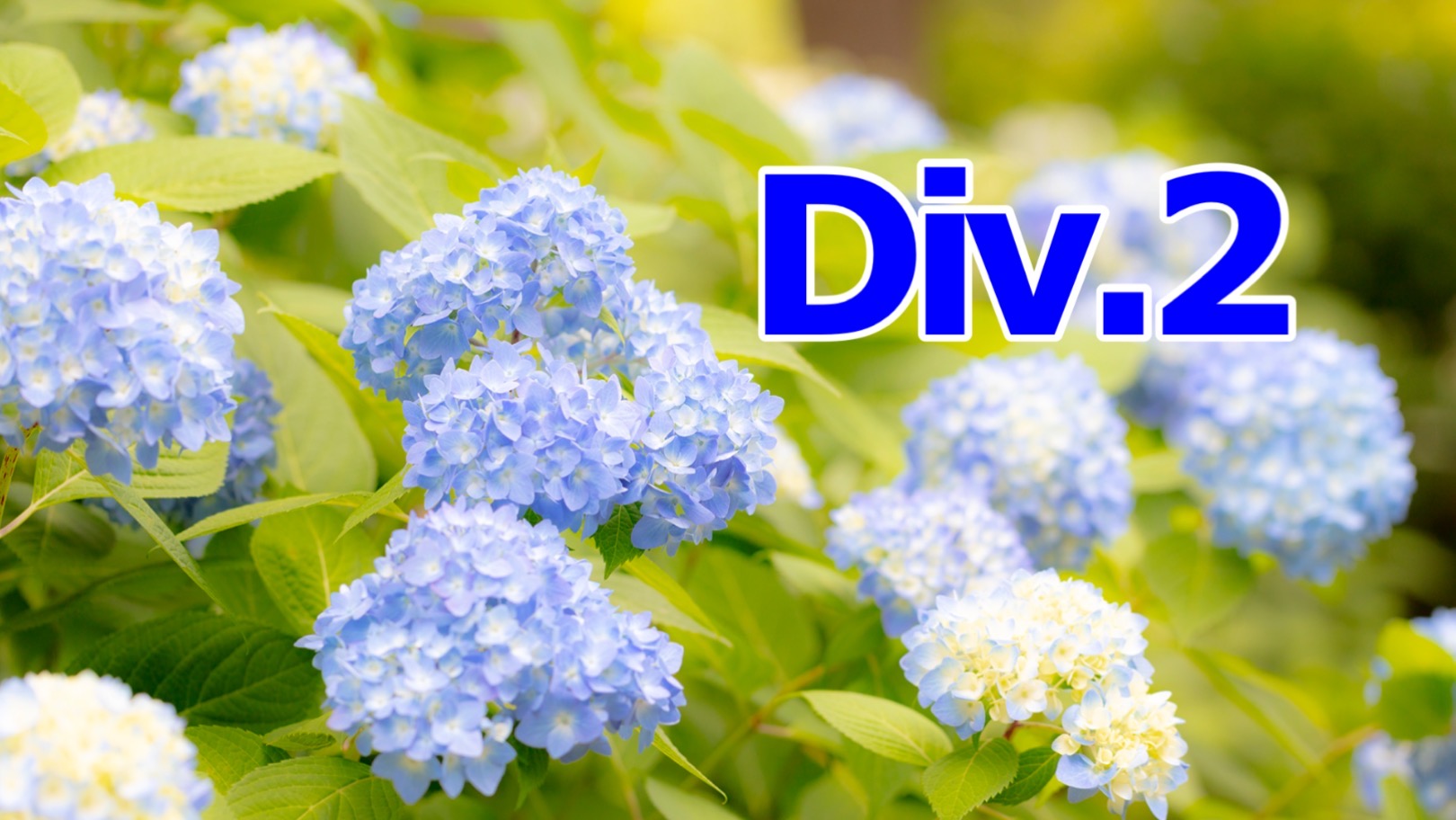 足立区 花畑地域学習センター Div 2 0613 夕方 Mashup 足立区 花畑地域学習センター Div 2 0613 夕方 Mashup