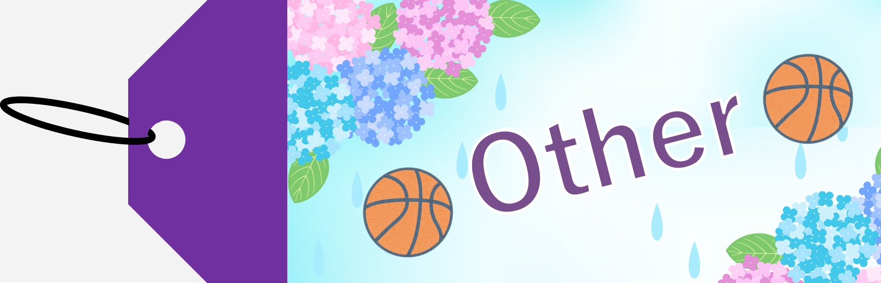 OTHER